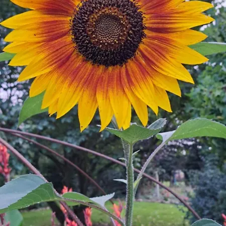 La Mare Aux 3 Diables Fresney-le-Vieux