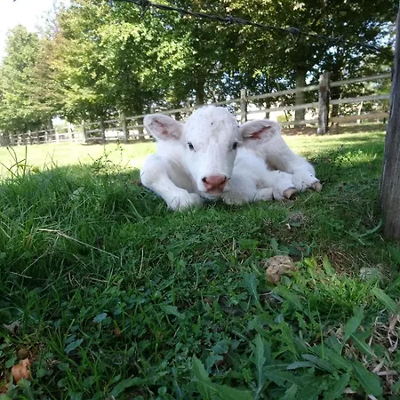 فندق مبيت وإفطار La Mare Aux 3 Diables