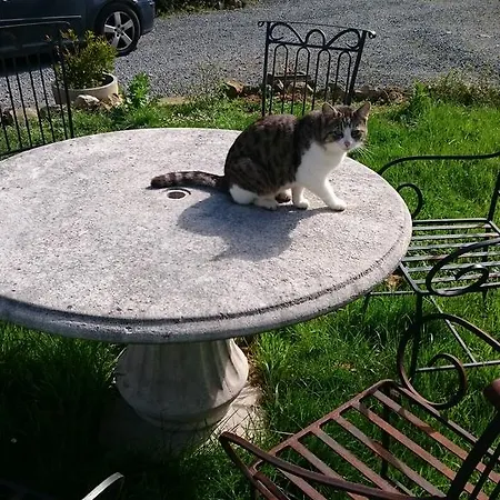 La Mare Aux 3 Diables فندق مبيت وإفطار Fresney-le-Vieux