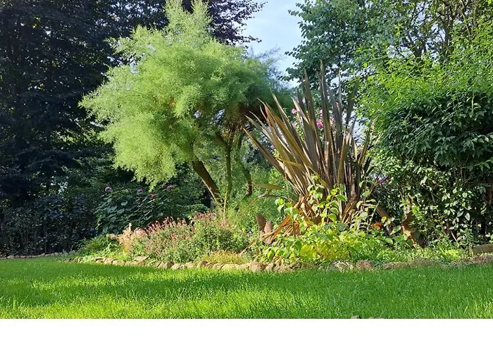 Bed & Breakfast La Mare Aux 3 Diables *