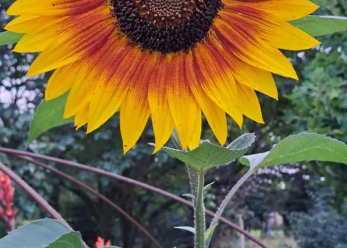 La Mare Aux 3 Diables Fresney-le-Vieux