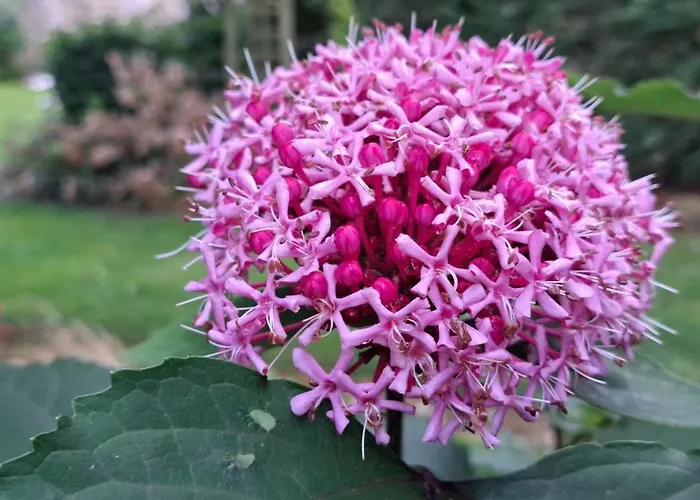 La Mare Aux 3 Diables * Fresney-le-Vieux