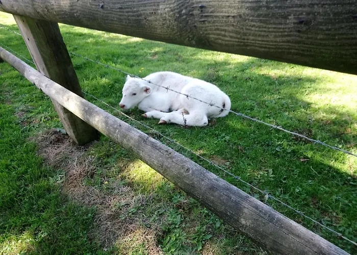 La Mare Aux 3 Diables Bed & Breakfast Fresney-le-Vieux