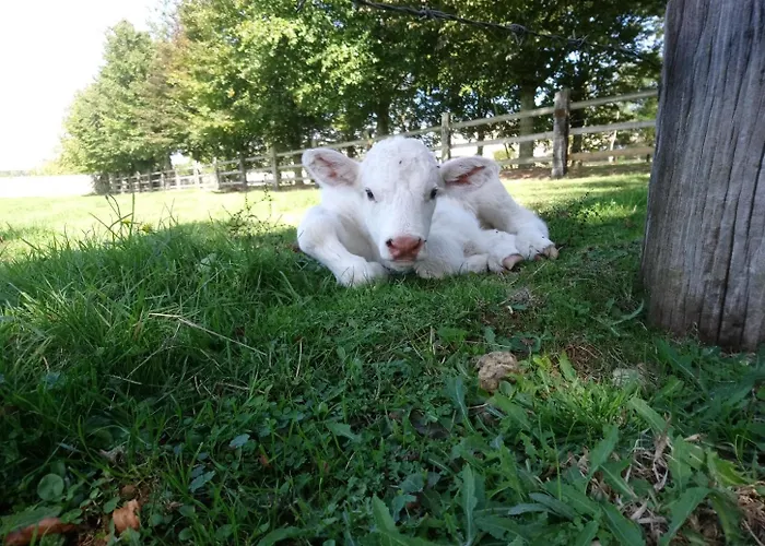 Bed & Breakfast La Mare Aux 3 Diables