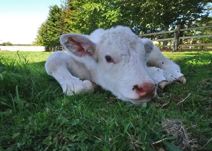 La Mare Aux 3 Diables Bed & Breakfast Fresney-le-Vieux