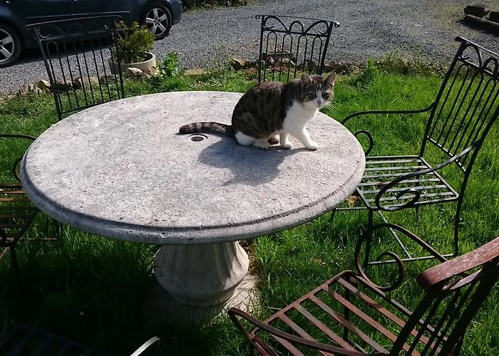 La Mare Aux 3 Diables Bed & Breakfast Fresney-le-Vieux